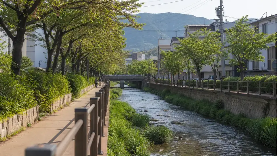 Quiet Jinhae street after spring bloom with fresh green trees, a small stream and distant hills